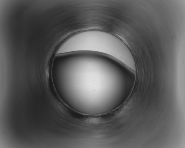 X0000089360350200706150828