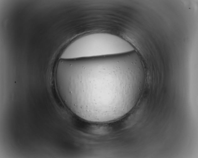 X0000089360351200706150828