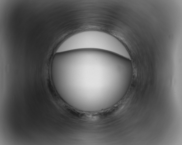 X0000089360352200706150828