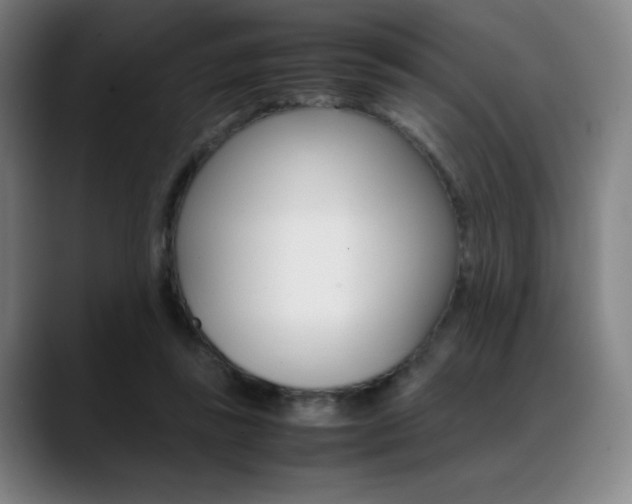 X0000089360355200706150828