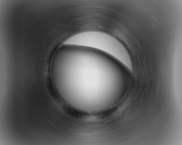 X0000089360356200706150828
