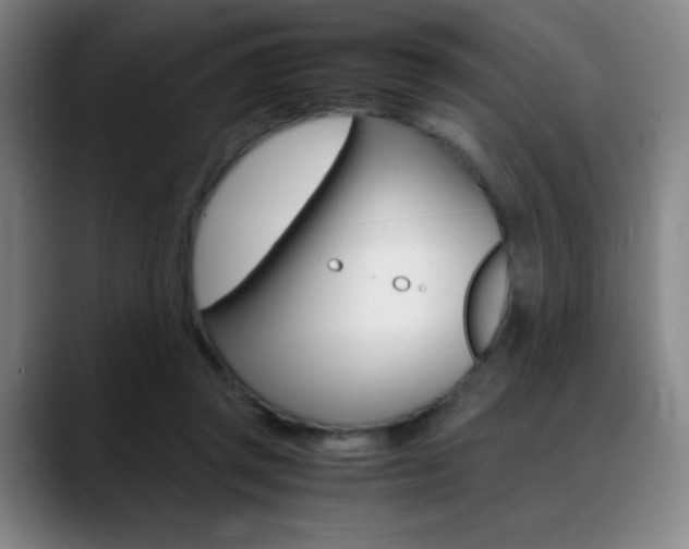 X0000089360357200706150828