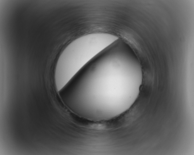 X0000089360358200706150828