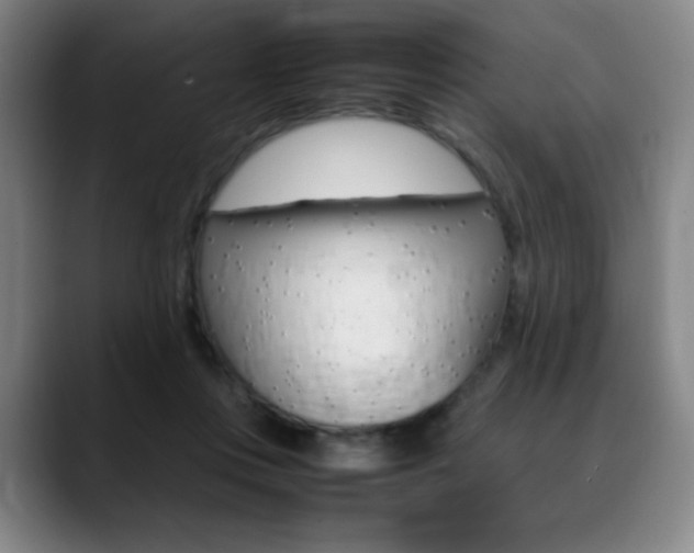 X0000089360359200706150828