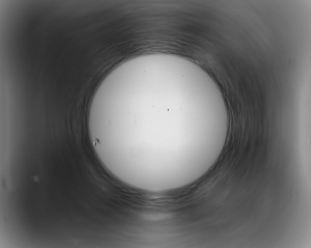 X0000089360360200706150828