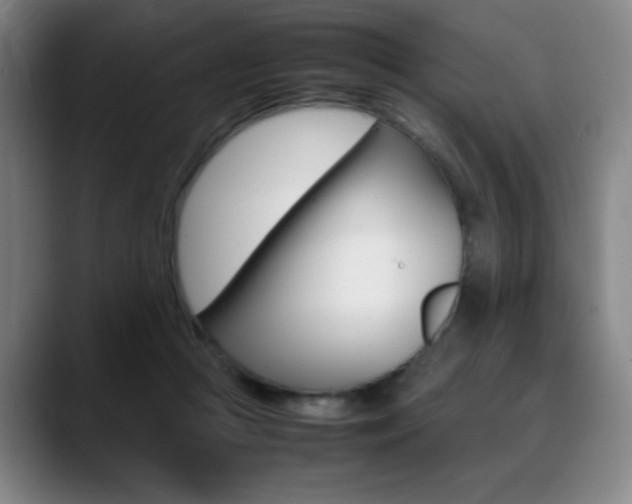 X0000089360361200706150828