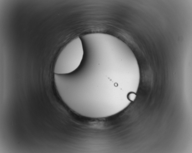 X0000089360362200706150828