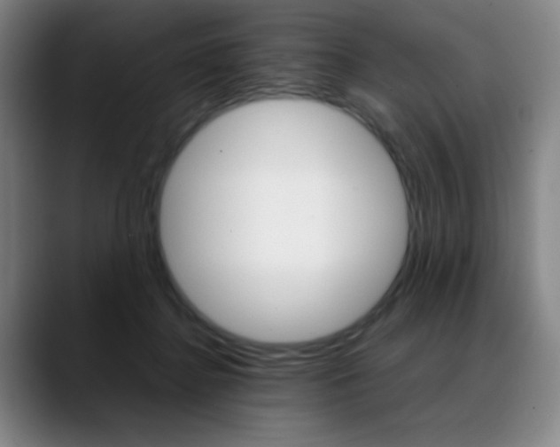 X0000089360364200706150828