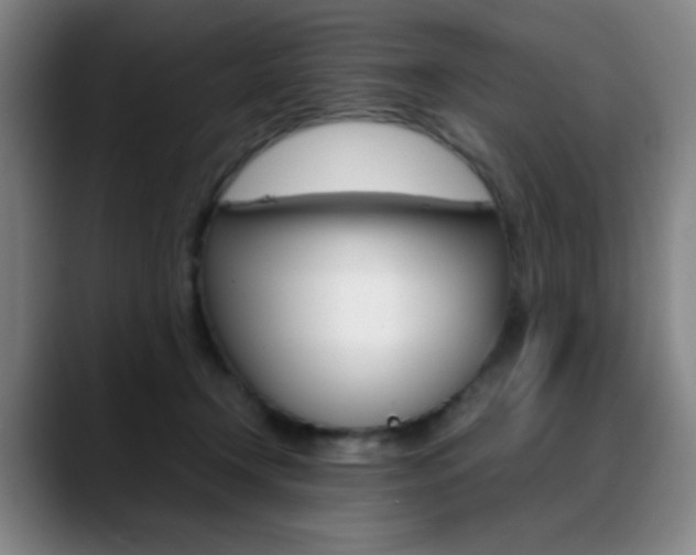 X0000089360366200706150828