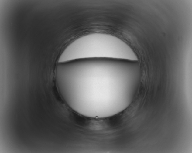 X0000089360367200706150828