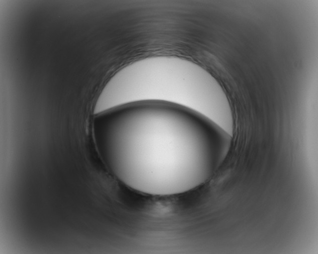 X0000089360368200706150828
