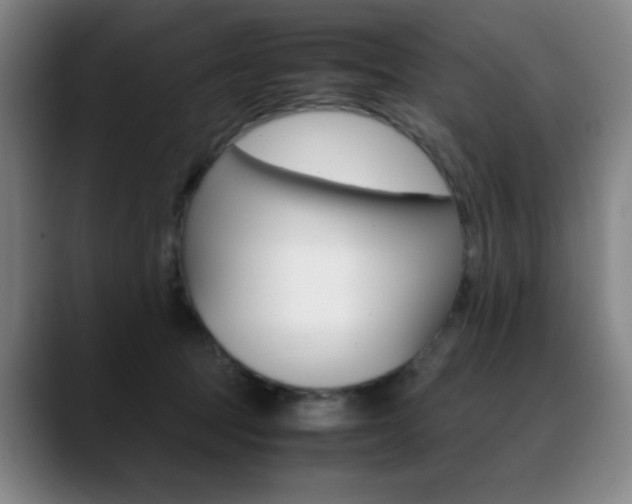 X0000089360369200706150828