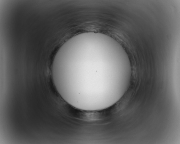 X0000089360371200706150828