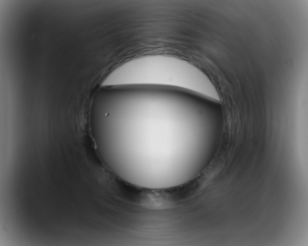 X0000089360372200706150828