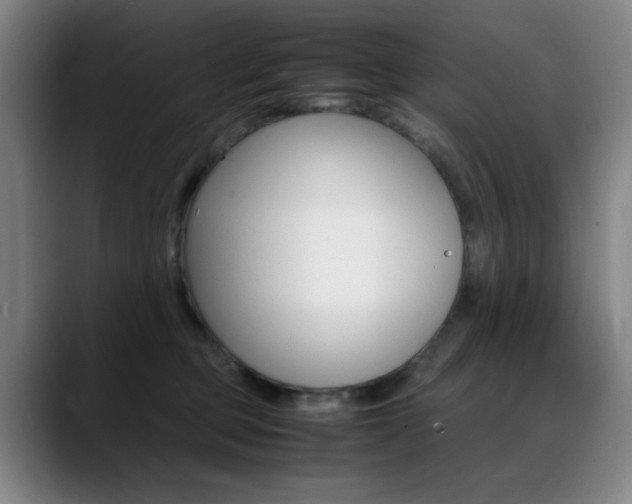 X0000089360373200706150828