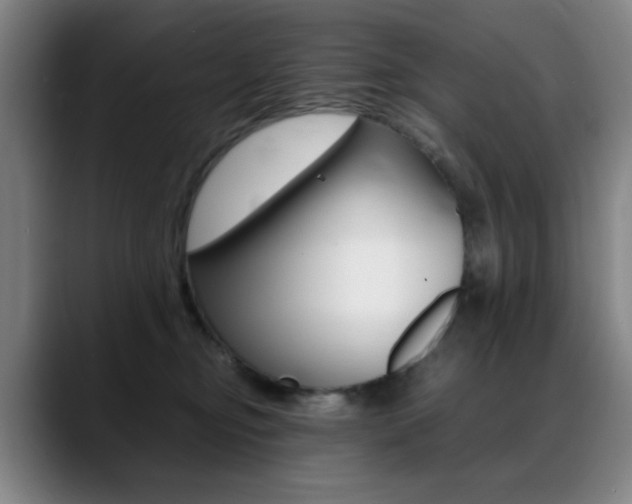 X0000089360374200706150828