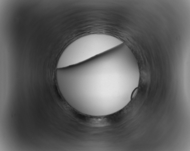 X0000089360375200706150828