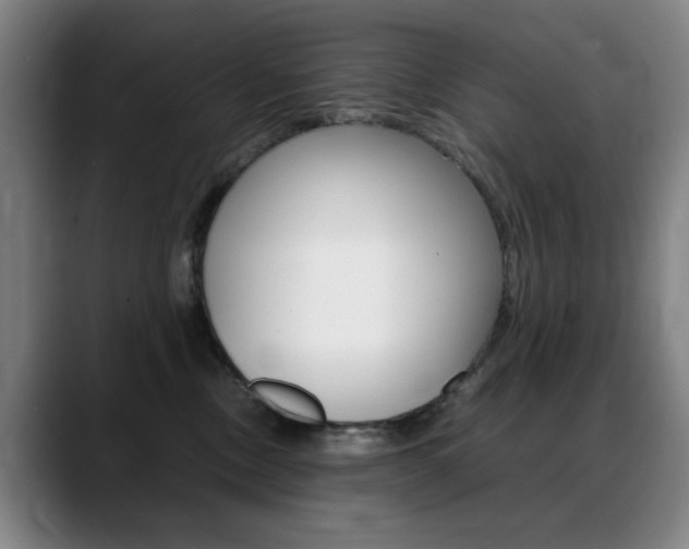 X0000089360378200706150828