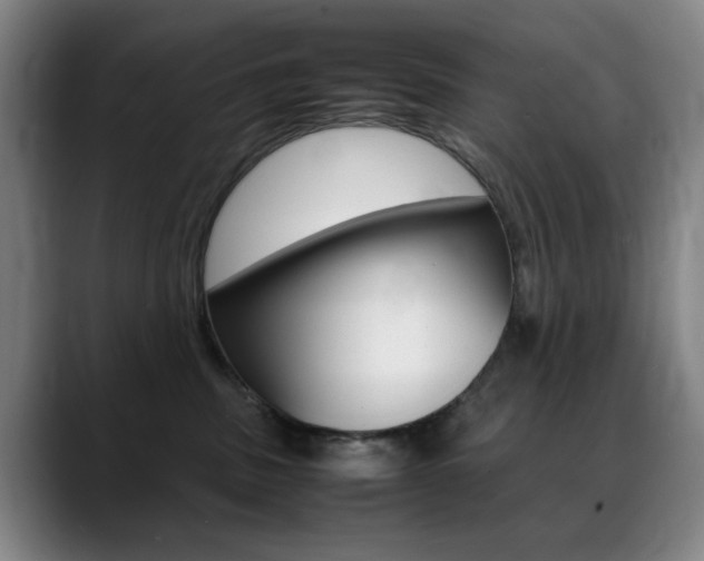 X0000089360379200706150828