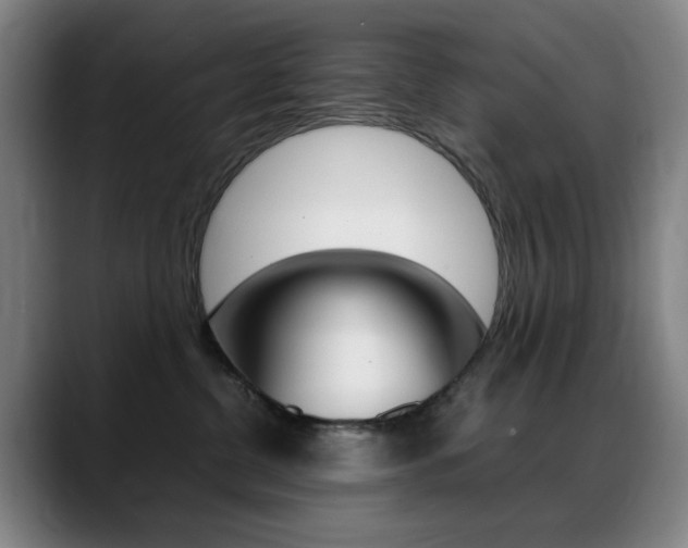 X0000089360380200706150828