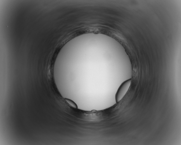X0000089360381200706150828