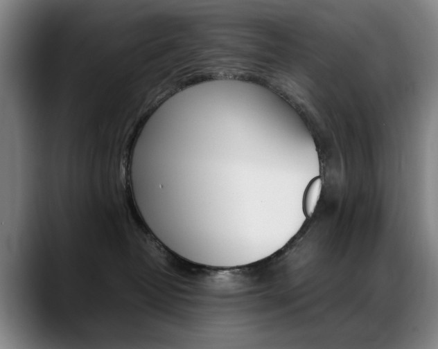 X0000089360382200706150828