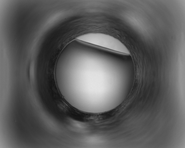 X0000089360383200706150828