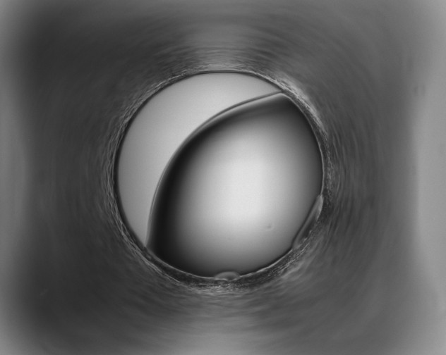 X0000089360385200706150827