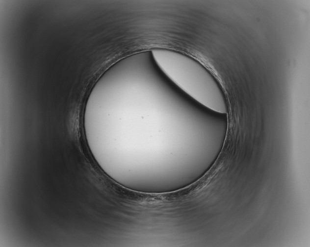 X0000089360386200706150827