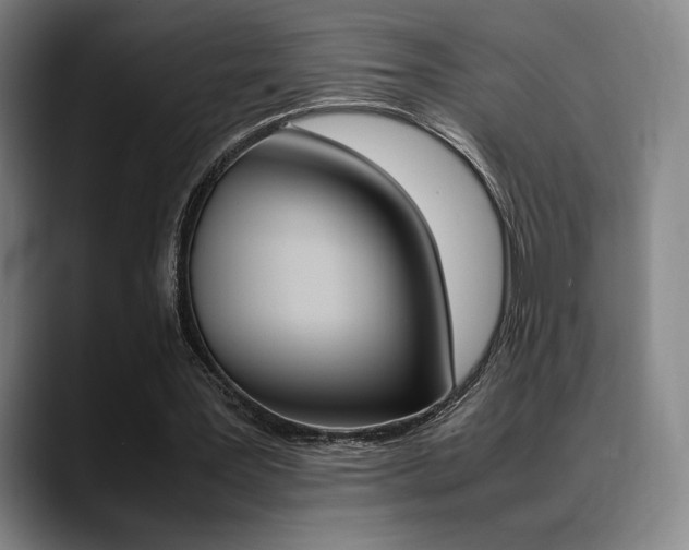 X0000089360387200706150827
