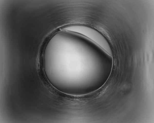 X0000089360388200706150827