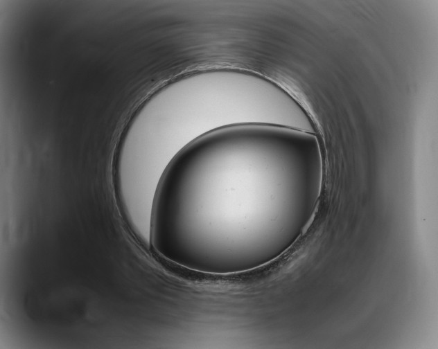X0000089360389200706150827