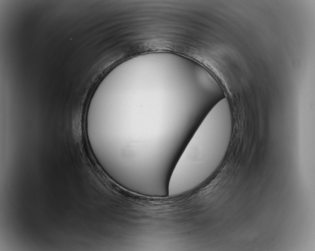X0000089360390200706150827