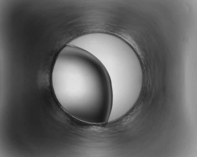 X0000089360393200706150827