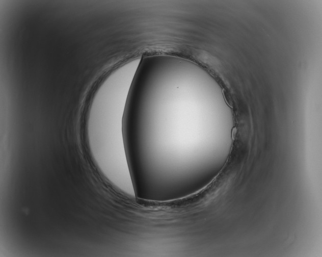 X0000089360395200706150827