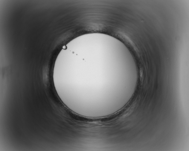 X0000089360396200706150827
