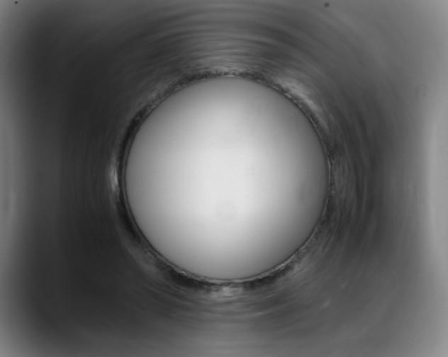 X0000089360398200706150827