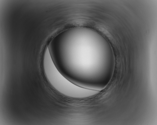 X0000089360399200706150827