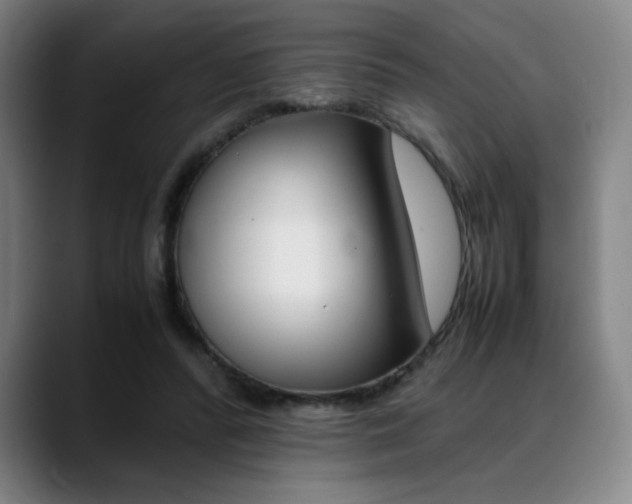 X0000089360400200706150827