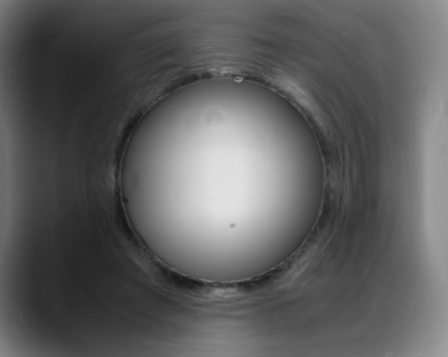 X0000089360401200706150827
