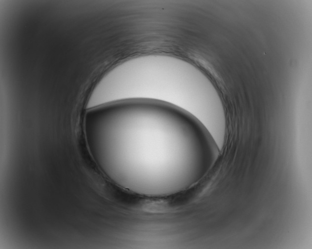 X0000089360403200706150827