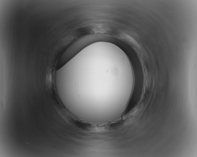 X0000089360405200706150827