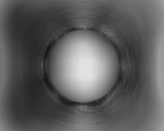 X0000089360408200706150827