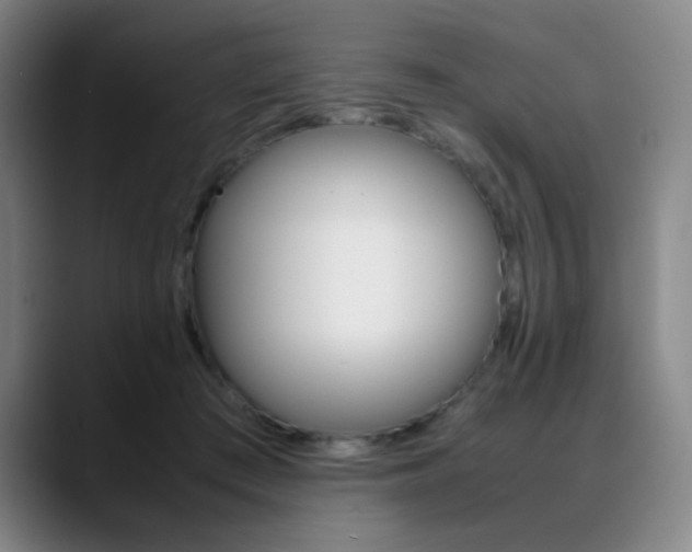 X0000089360409200706150827