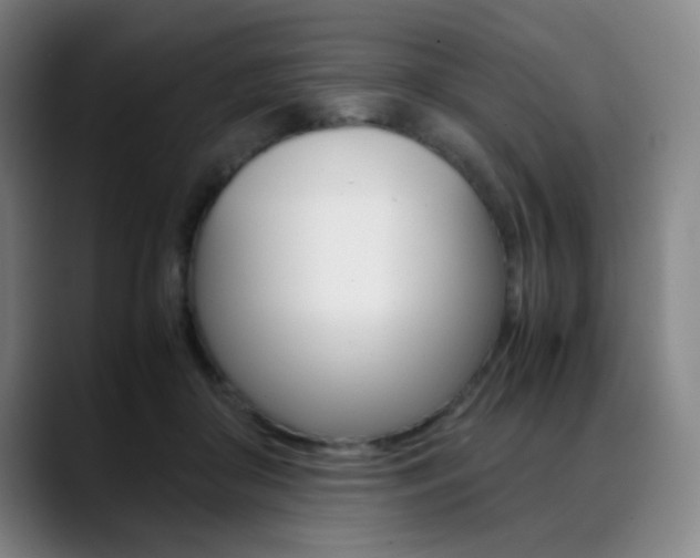 X0000089360410200706150827