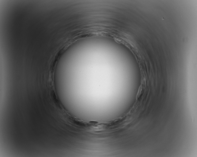 X0000089360411200706150827