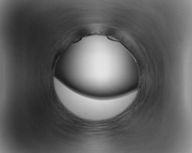 X0000089360413200706150827