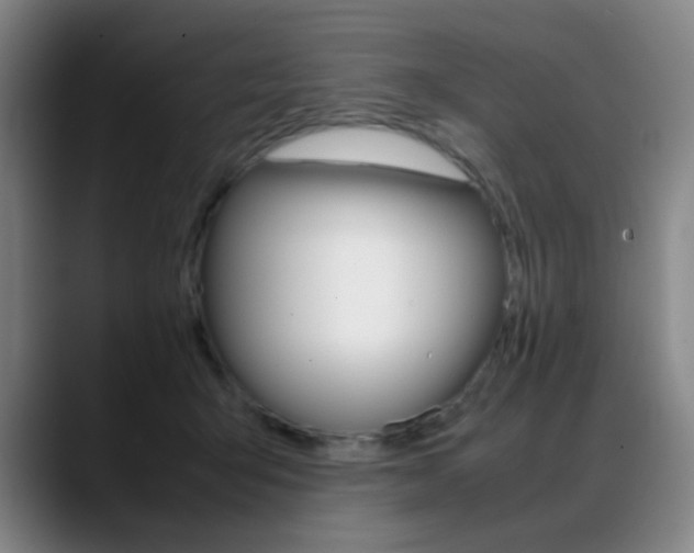 X0000089360415200706150827