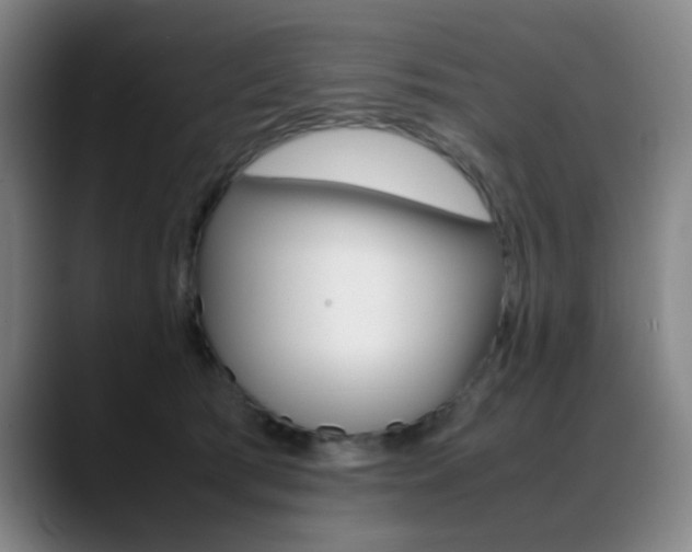 X0000089360417200706150827