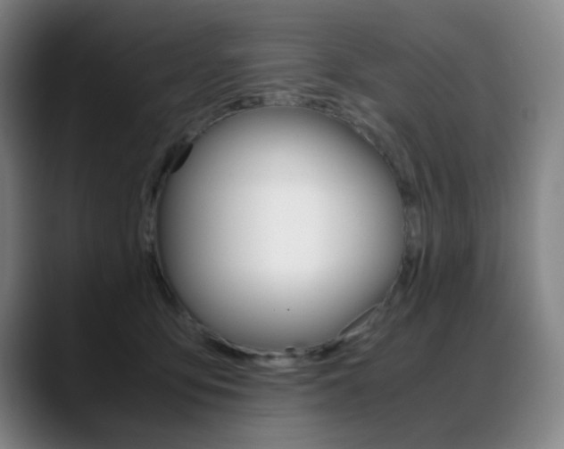 X0000089360419200706150827